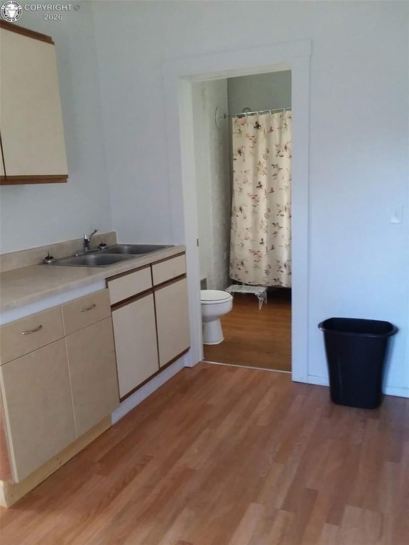 Picture 18