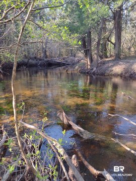 Wooded Recreation Land with Creek
