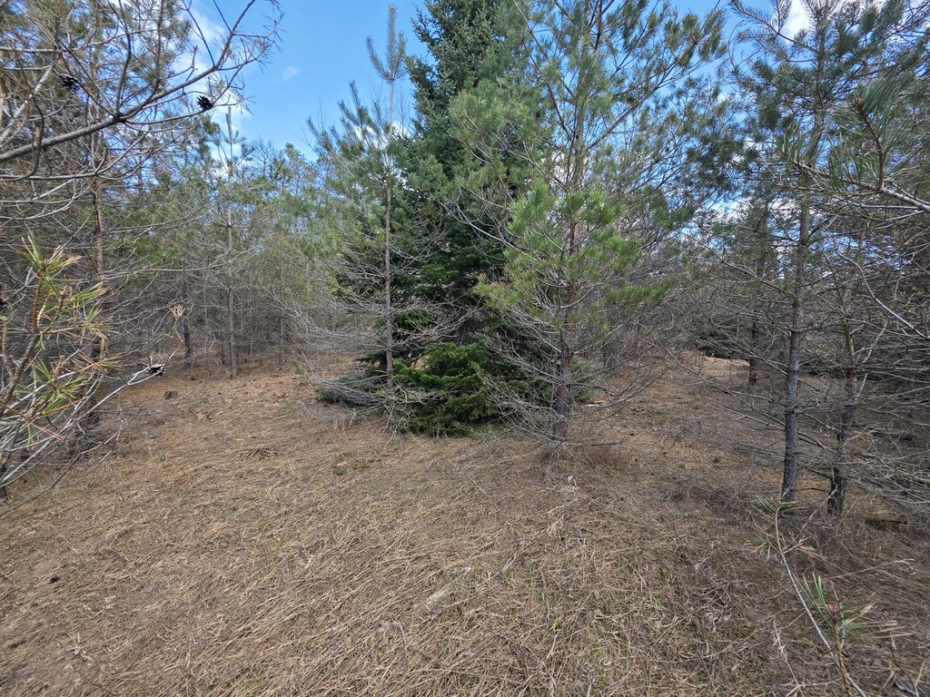 Picture 10