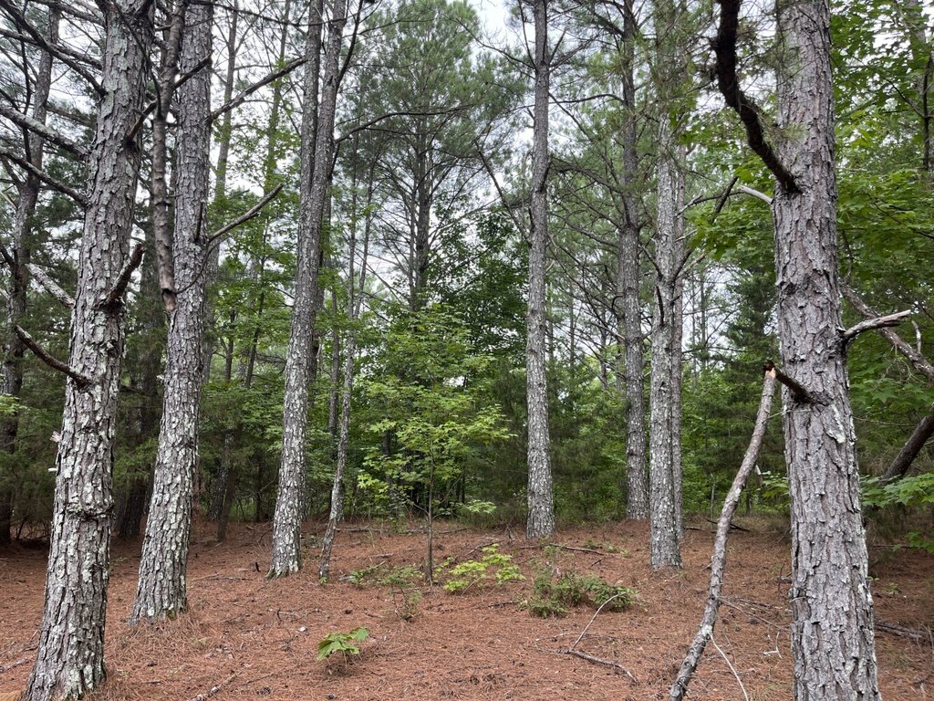 Picture 14