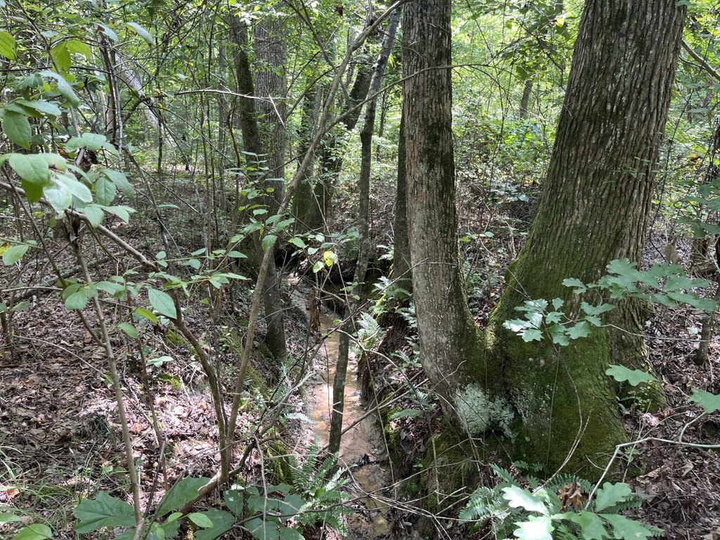Picture 24