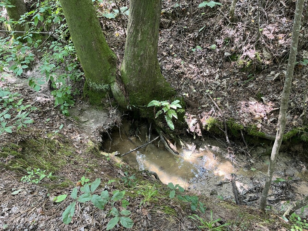 Picture 23
