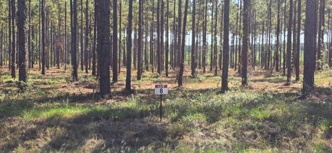 Recreation Land Lot in Subdivision