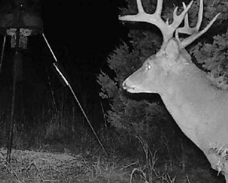 Oklahoma Recreational Land with Trails