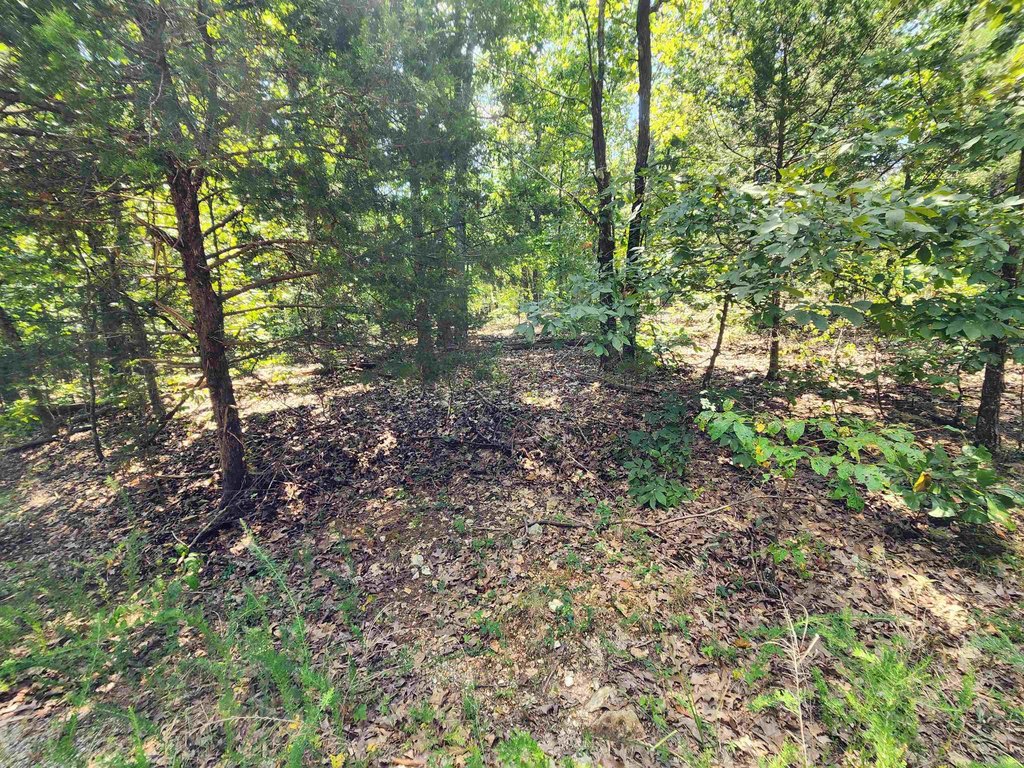 Picture 18