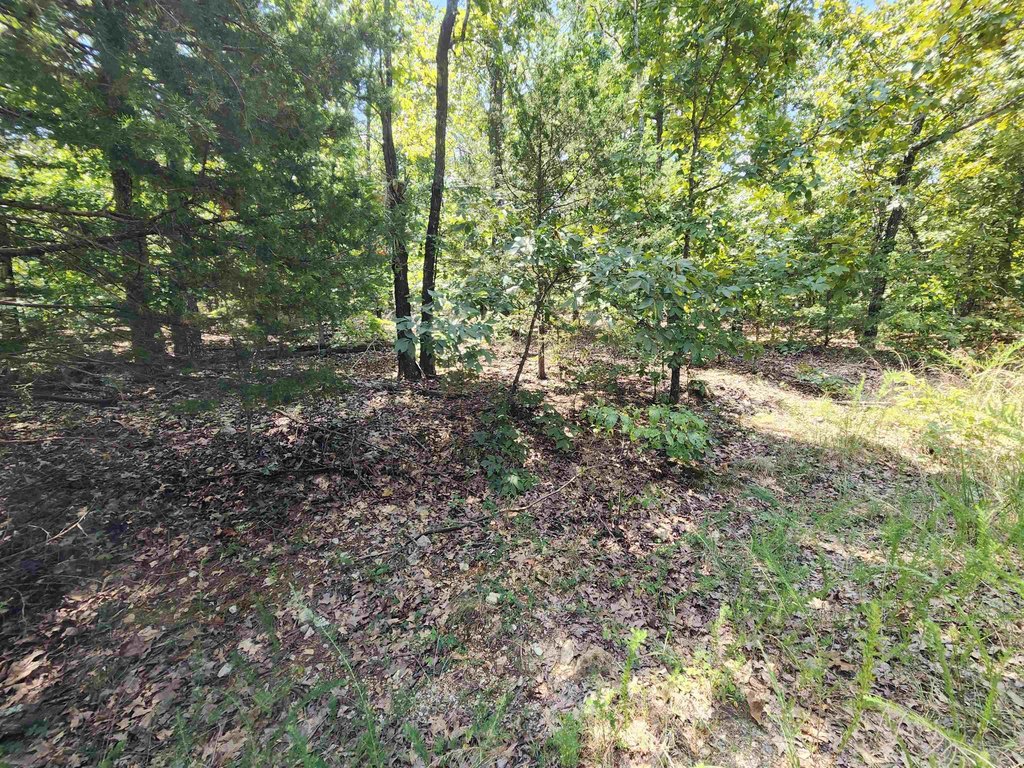 Picture 25