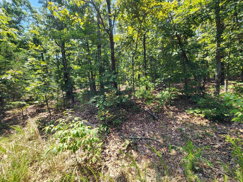 Picture 17