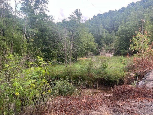 Picture 3