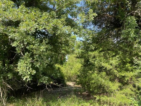 Lakefront Recreation Land Lot