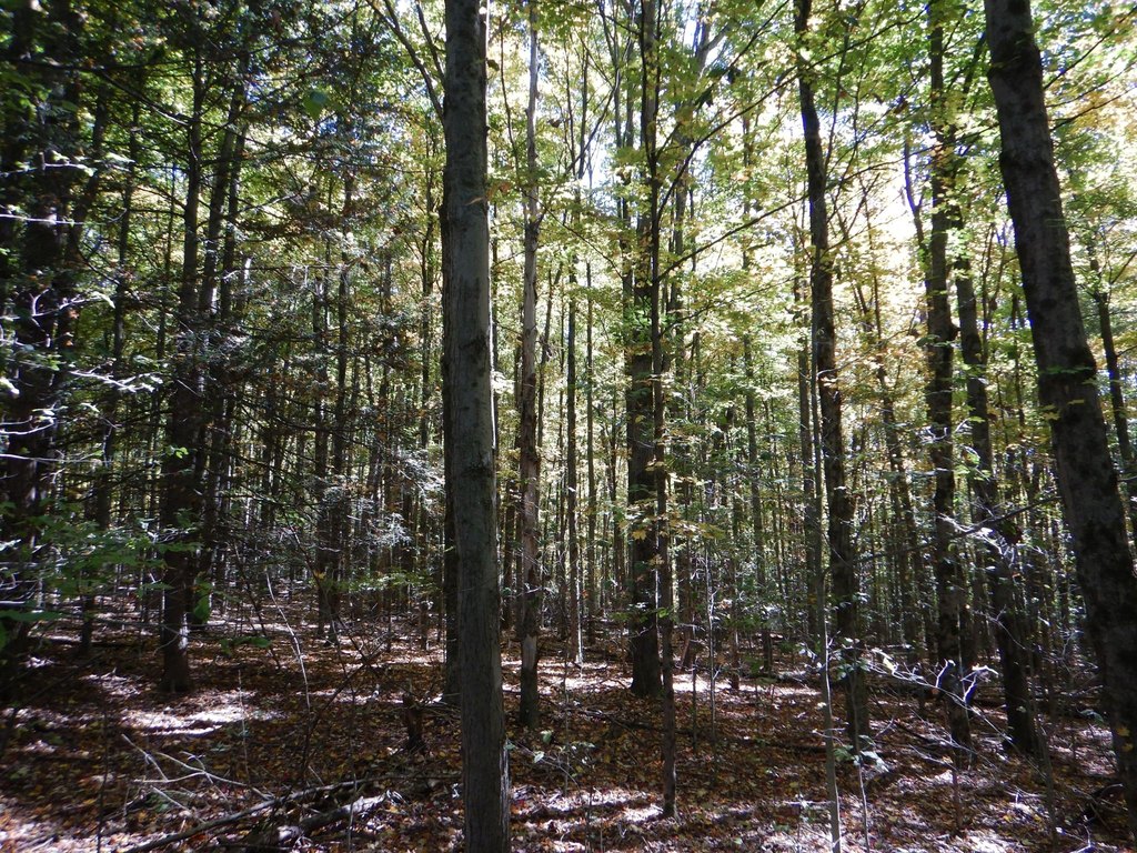 Picture 28