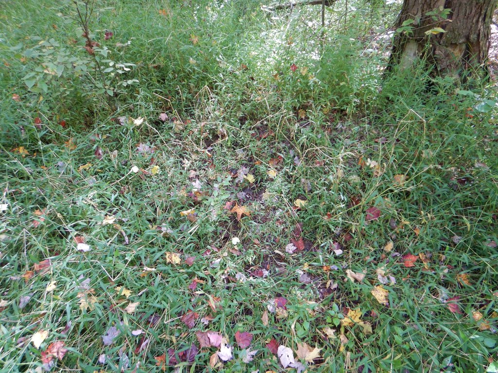 Picture 7