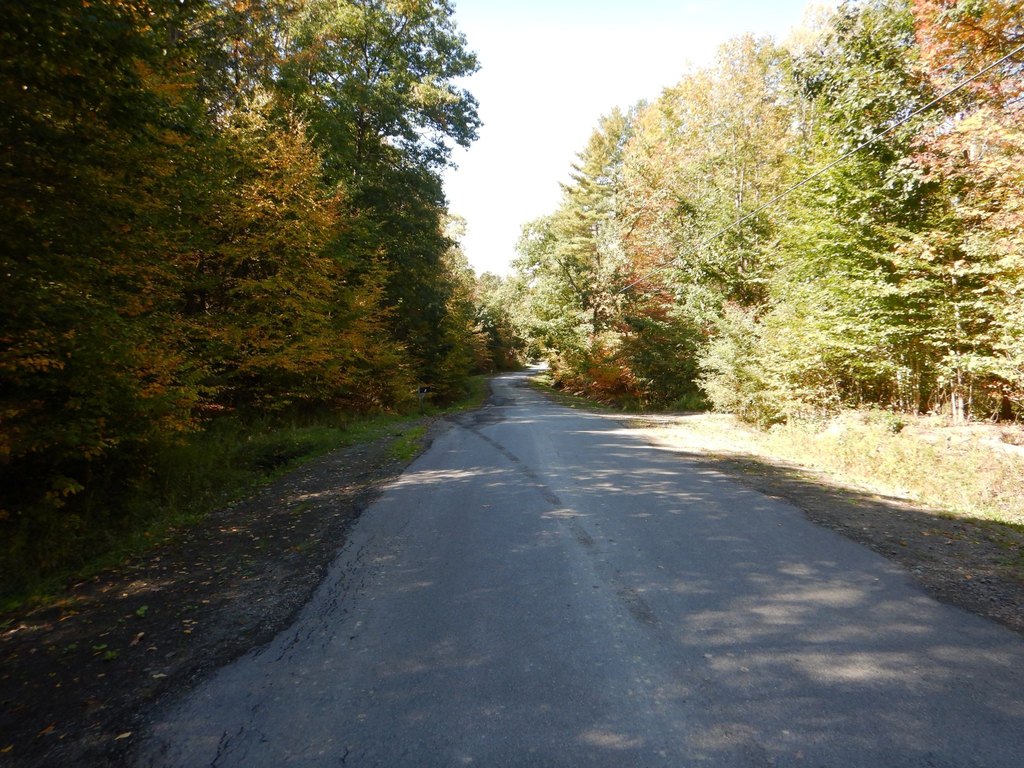 Picture 29