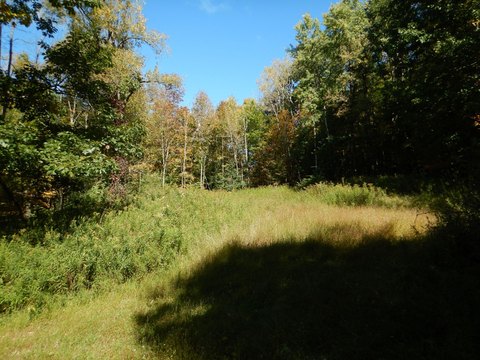 Land, Windsor, NY