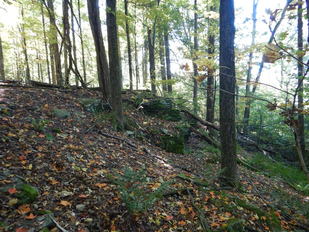 Picture 11