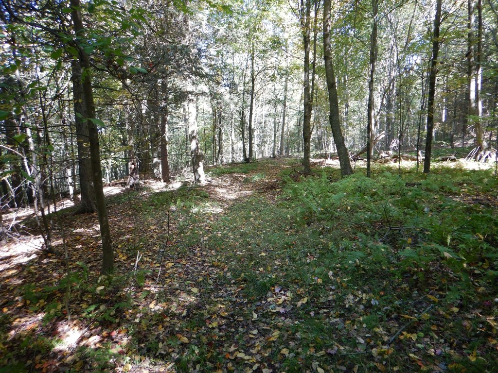 Picture 16