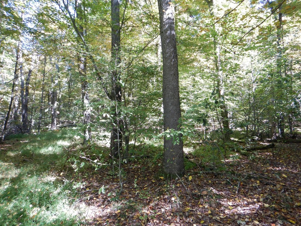 Picture 21