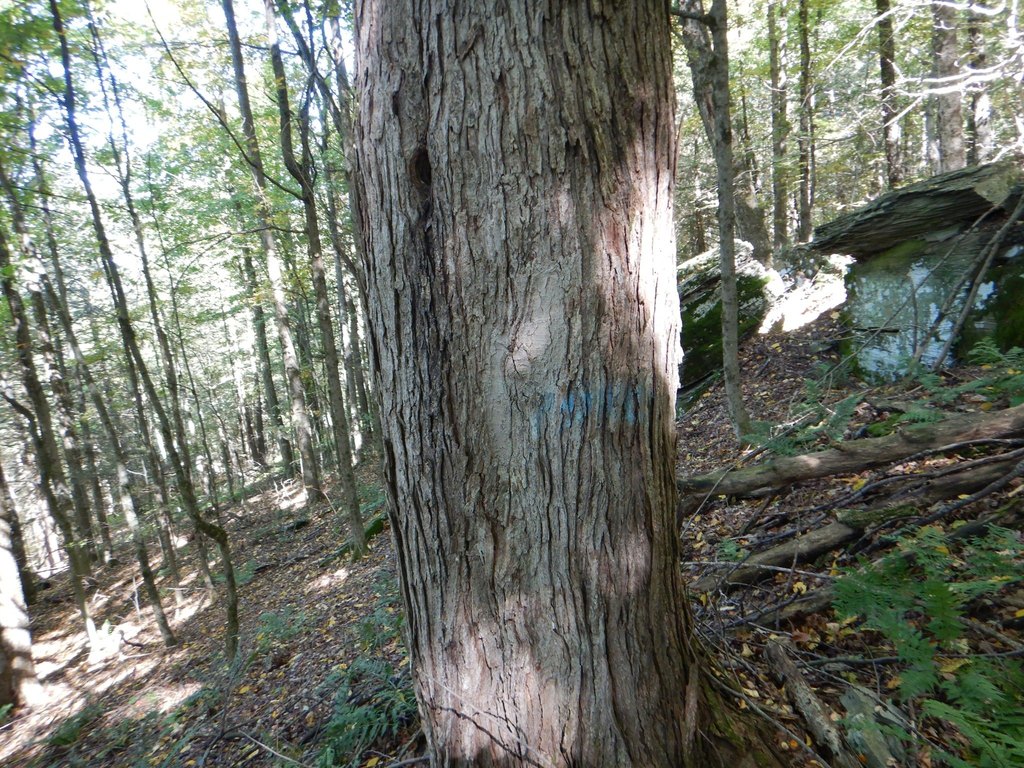 Picture 9