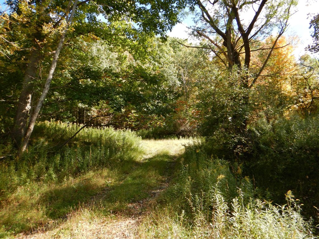 Picture 4
