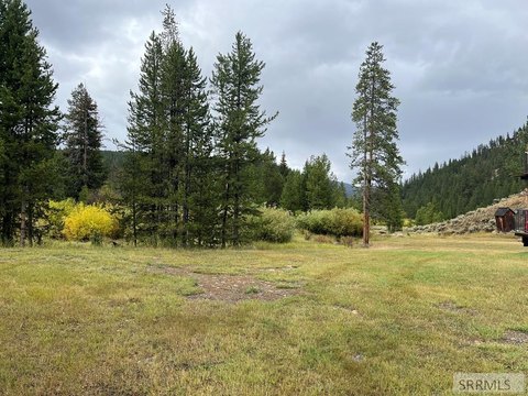 Secluded Land in Shoup, Idaho