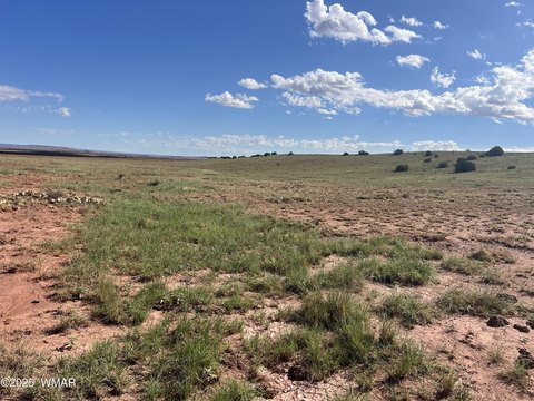 Concho, AZ Land For Sale