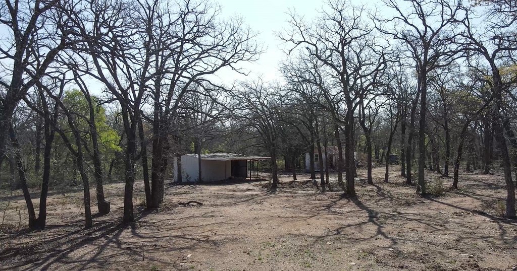 Picture 6