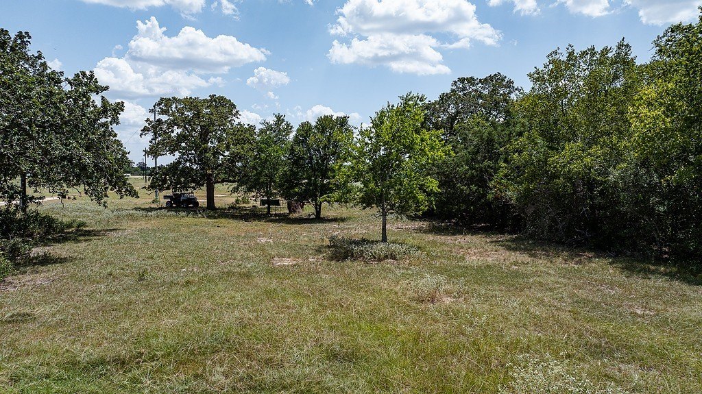 Picture 18