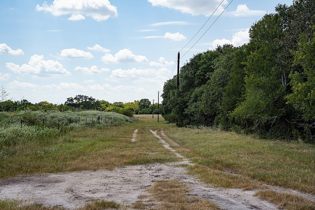 Picture 17