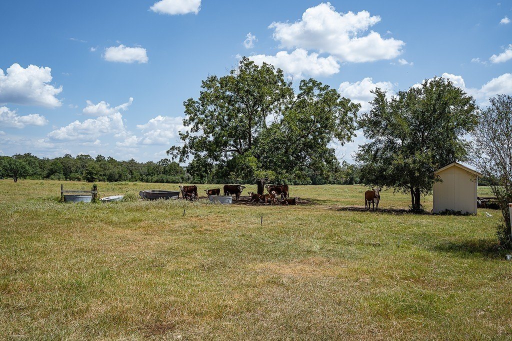 Picture 16