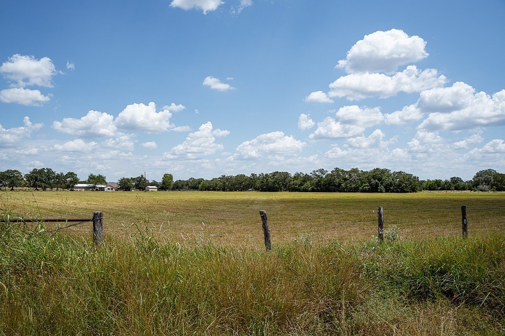 Picture 7