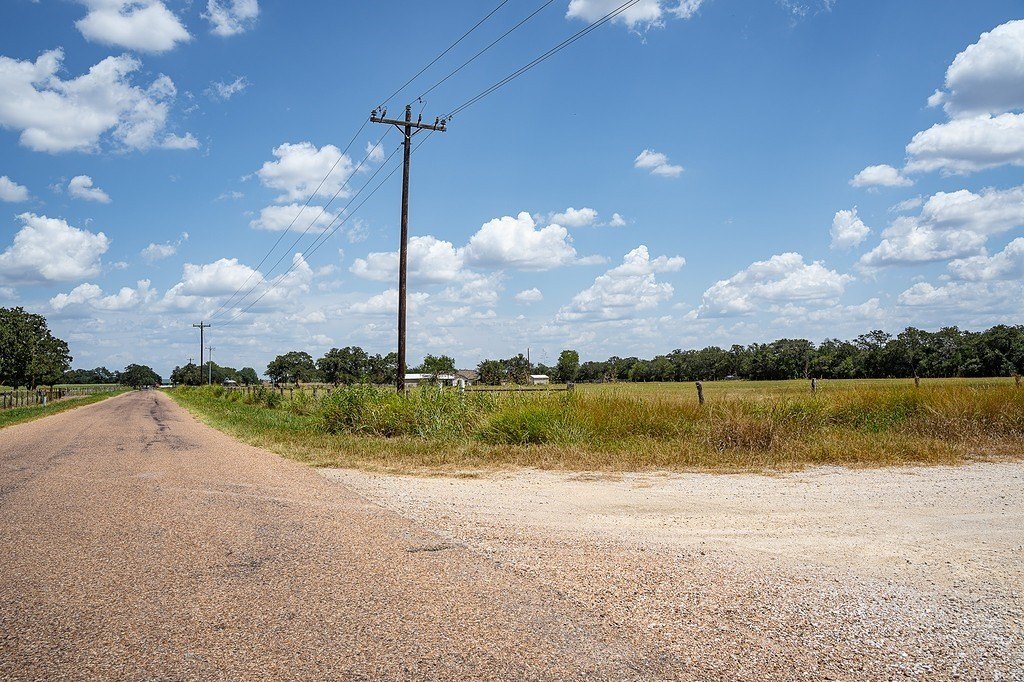 Picture 8