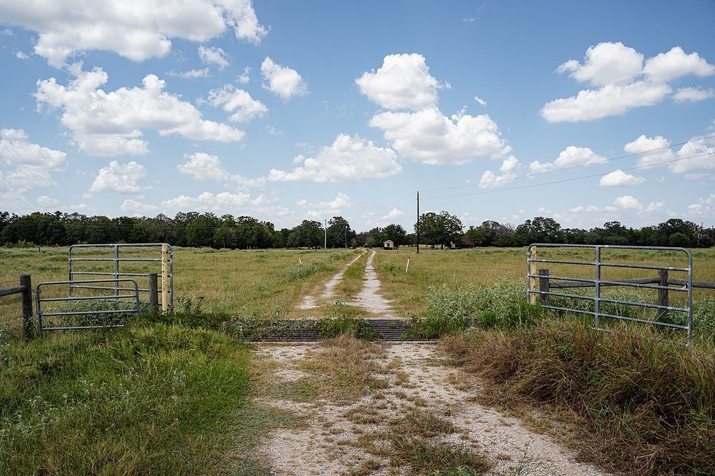 Picture 19