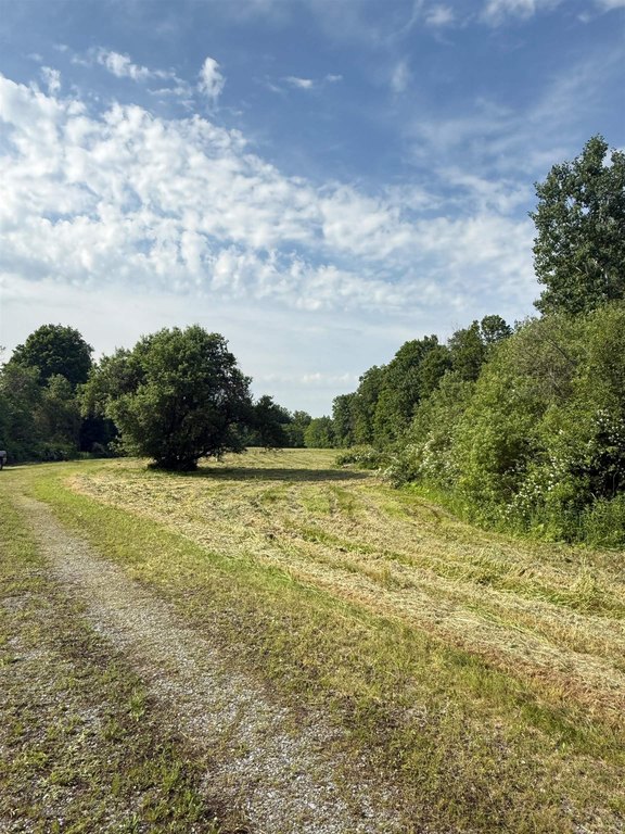 Picture 8