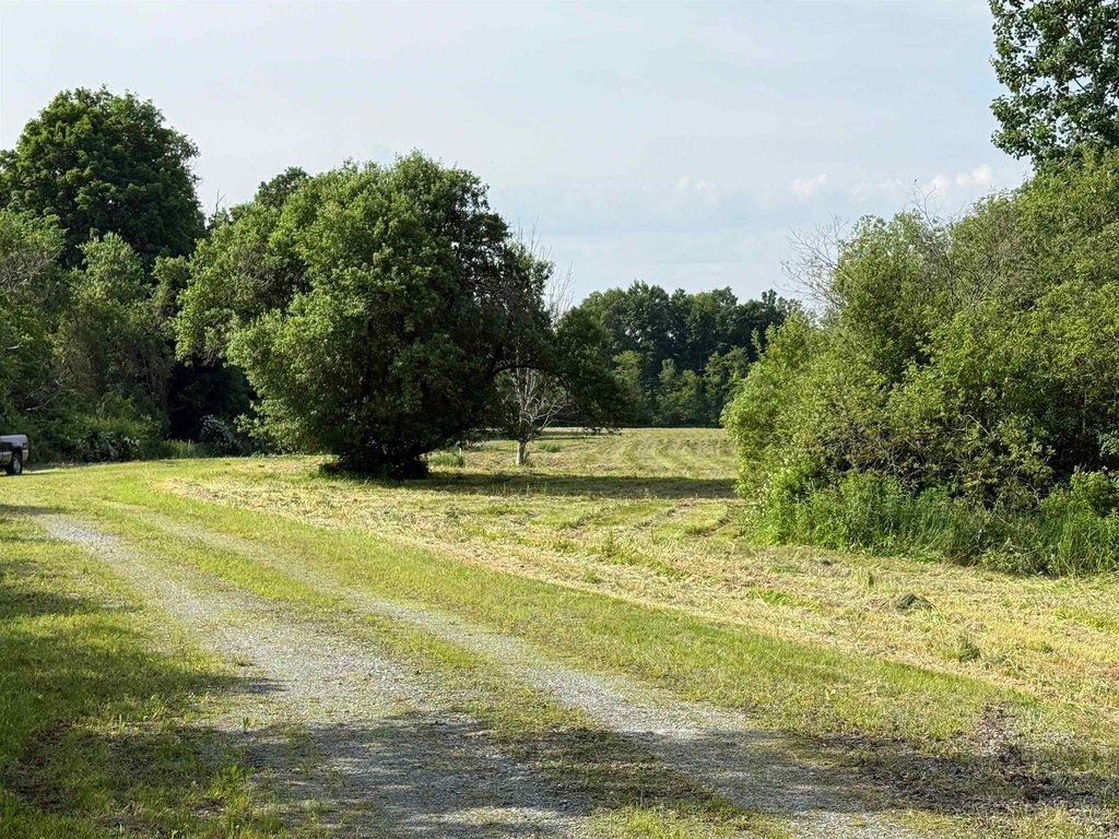 Picture 7
