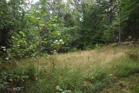 Secluded Residential Build Site