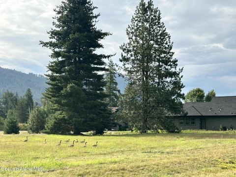 Land, Sandpoint, ID
