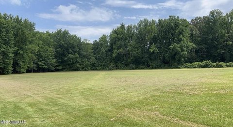 Hernando Land in School District