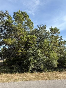 Vacant Lot in Gulf Breeze