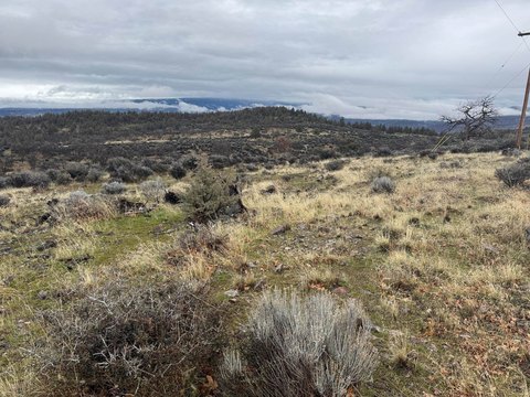 Land with Mountain Views