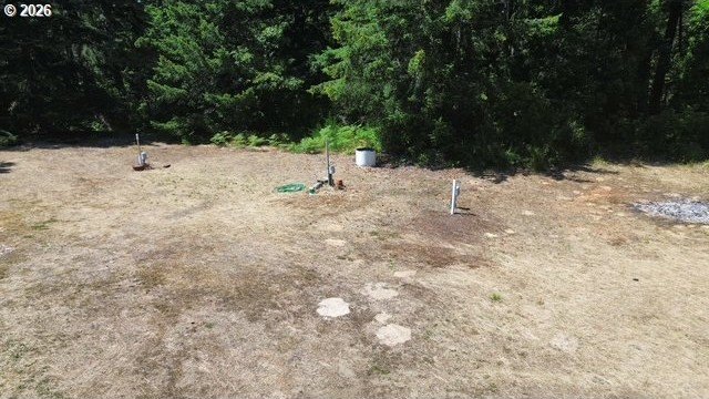 Picture 10