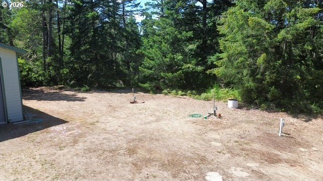 Picture 12