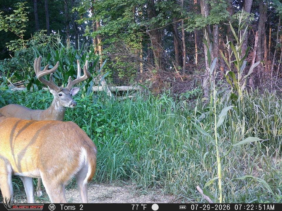 Picture 3