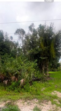 Land in Developing Lehigh Acres