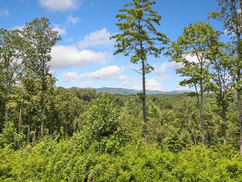 Ellijay, GA Vacant Mountain Lot