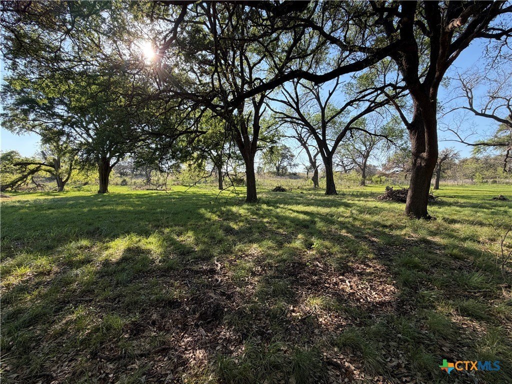 Oglesby, TX Land Opportunity