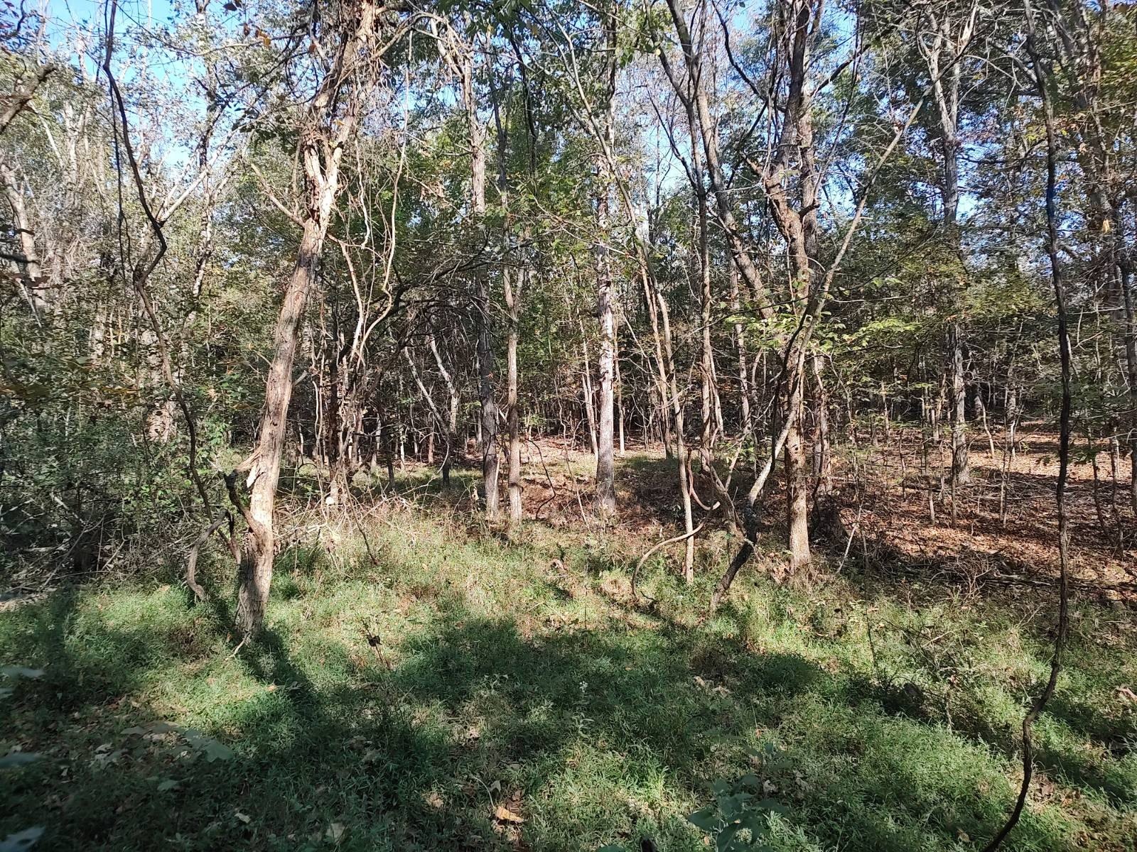 Pope County Timberland Paradise