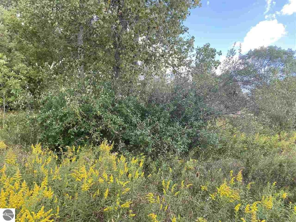 Picture 7