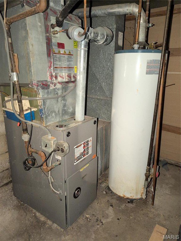 Picture 11