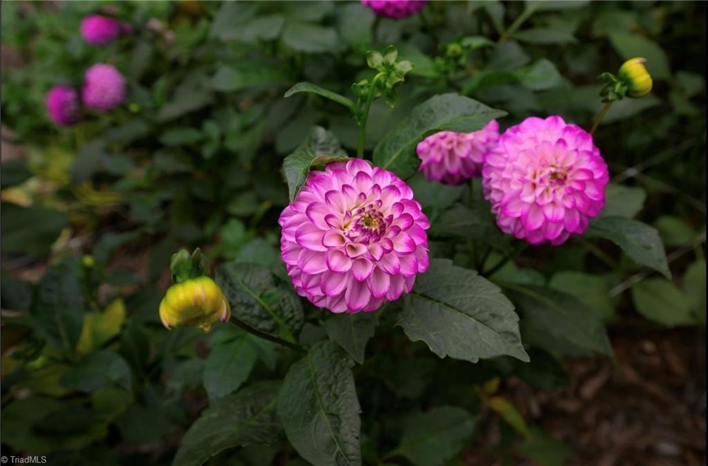 Picture 48