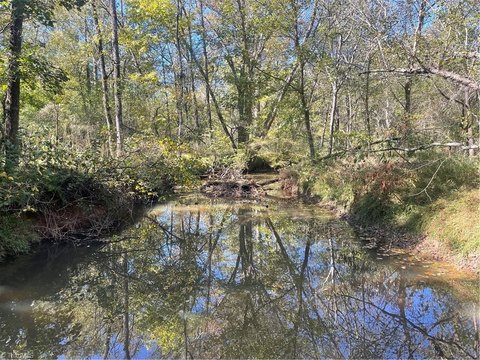 Land, Yadkinville, NC