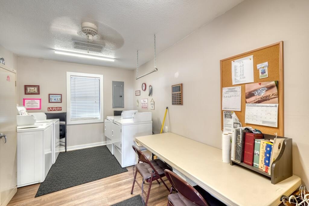 Picture 18